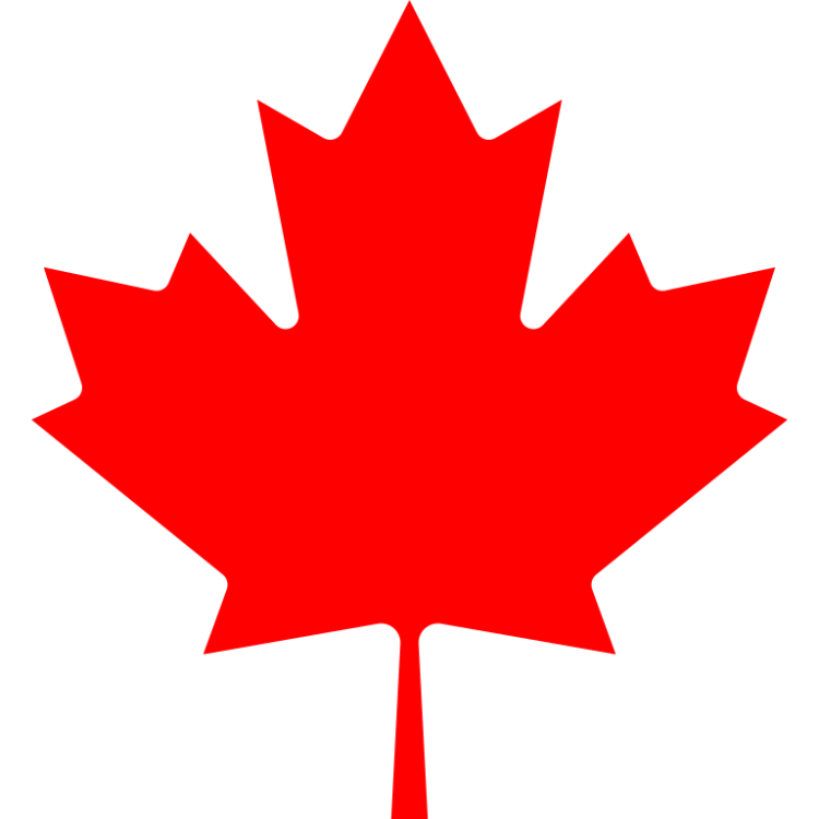 Black car service Toronto
